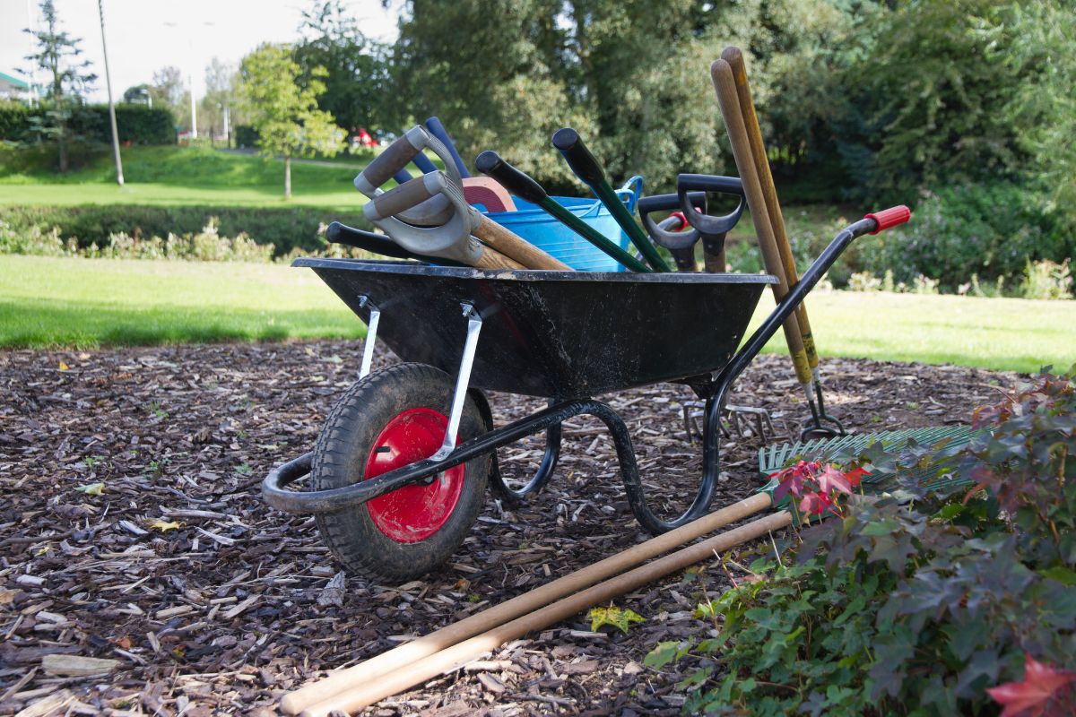 Quels outils pour le jardin potager ?